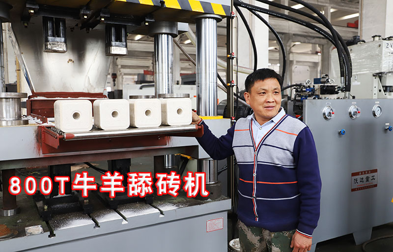 800噸粉末(mo)成型牛(niu)羊舔磚(zhuān)鹽磚機(jī)